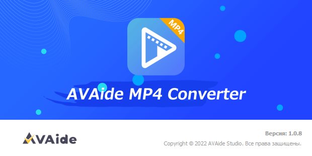 AVAide MP4 Converter